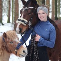 equestrian__sina