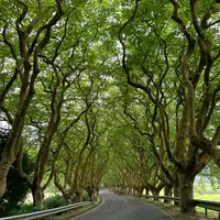 original sound - billionaire.mindset2101