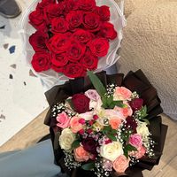 bella60799