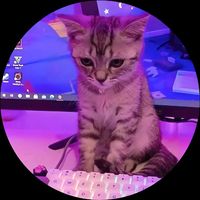 rey__jeronimo