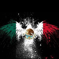 mexa898
