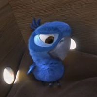 WHY ARE PEOPLE USING THIS EEE