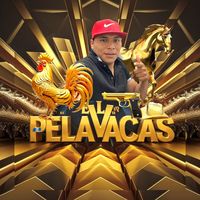 nonvelasquez468