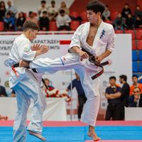 оригинальный звук