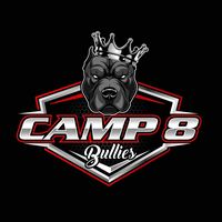 camp8bullies