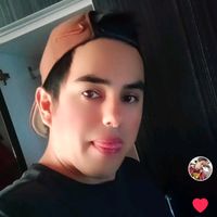 bertin_282