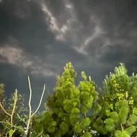 original sound - hhh__ll