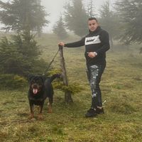 yanirottweilerkennel