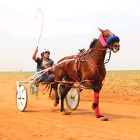 robertosantiago168