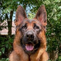 flynn_jager