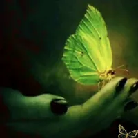 original sound - isisk260