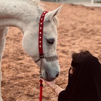 reema2_2
