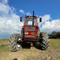 azienda.agricola.morano