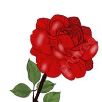 80_90_yillarindakiler