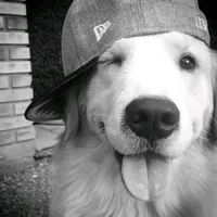 original sound - xxnmyllek