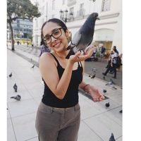 miss.cronicas
