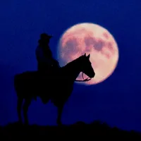 original sound - luna_frases_musica