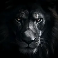 original sound - nsvcestudio