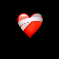 nelsoncaal502wwwtiktok.c