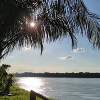 lucisnito18