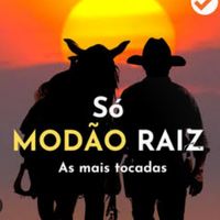 modaoraiz66