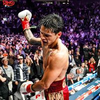qd_boxing