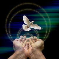 louvoresqueelevaeedifica