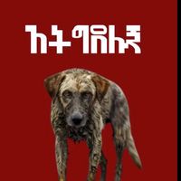 fevianimalsneedattention