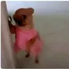 @just_unknown4