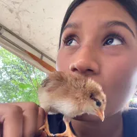 original sound - valentina_zapata883