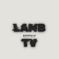 lamb_seul