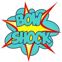 bow.shock