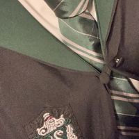 hogwarts.student.8