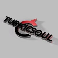 turkicsoul