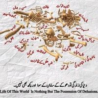 arif.ali1782
