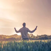 original sound - wilmar_gomez