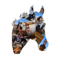 equestrian_riderr236