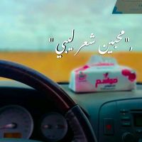 73_rz