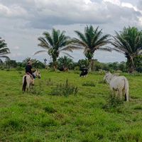 maurxx_29