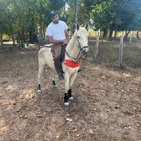 brunopereira3584