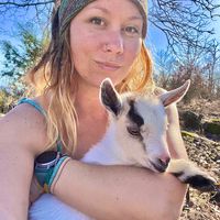 hotmesshippiehomestead