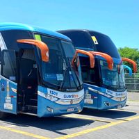 guarabus