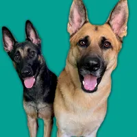 original sound - rudy_and_ridley