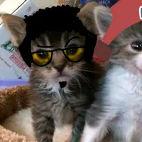 original sound - lexxxvr