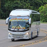 buses_hn504