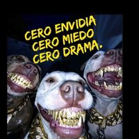 cristophertc04