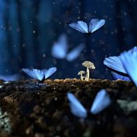 fantasyrhreads