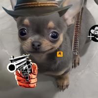 gamerz7189