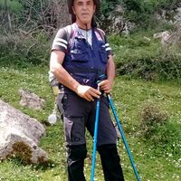 necibmadjid