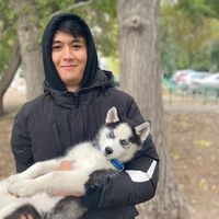 armaninho_